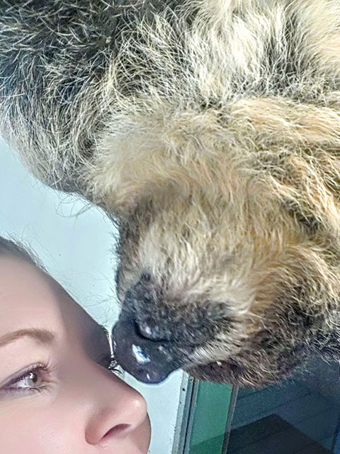 Sloth touching noses with woman