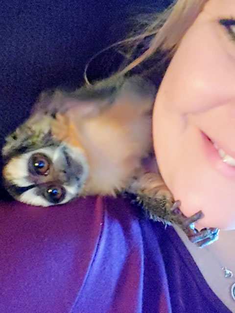 Monkey on shoulder grabbing a chin