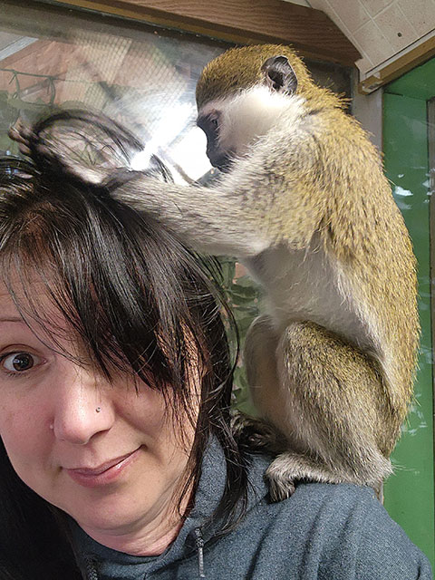 Monkey looking in woman's hair