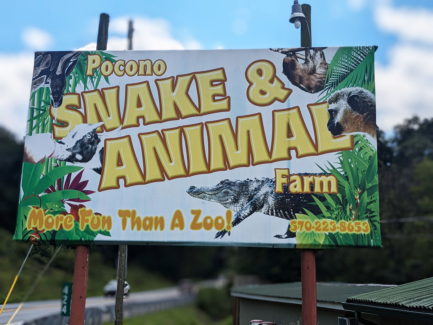 Pocono Snake and Animal Farm Billboard